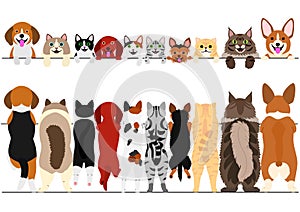 Standing small dogs and cats front and back border set