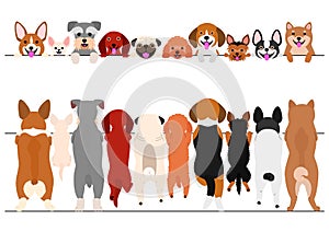 Standing small dogs front and back border set