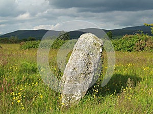 Standing Stone