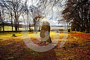 Standing stone in a colorful forest under the sunlight on Clava Cairns, Scotland