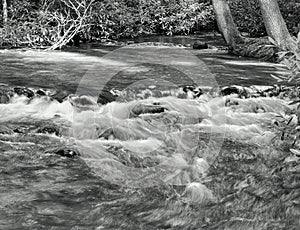 Standing Stone Creek Waterfall In Black And White