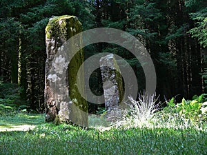 Standing stones