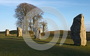 Standing stones at the Avebury Stone Circle
