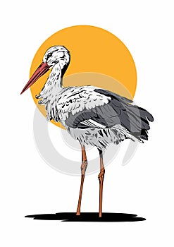 Standing stork with the orange sun background illustration for logos ideas