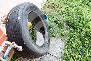 Standing water trapped in tire and containers breed mosquito