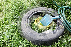 Standing water trapped in tire and containers breed mosquito