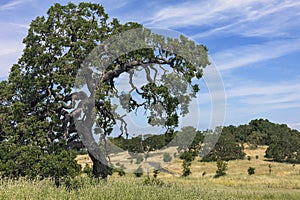 Stanford Hike photo