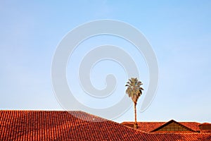 Stanford  University sunset photo