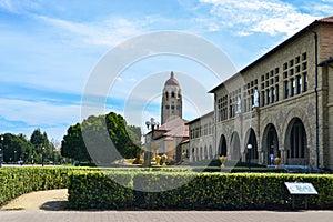 Stanford University