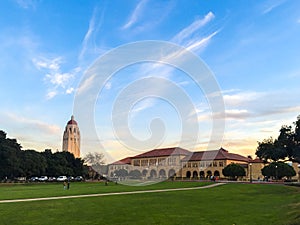 Stanford University