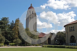 Stanford University V