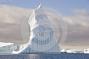Ľadovec tvar 