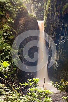 Stanley Force Waterfall