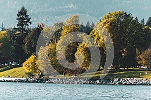 Stanley Park view from English Bay in Vancouver, BC, Canada