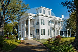 Stanton hall mansion, natchez, mississippi photo