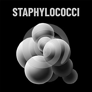 Staphylococci bacteria monochrome vector illustration on black background. Virus concept photo