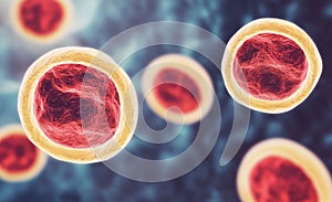 Staphylococcus bacteria are characterized by gram-positive cocci cells that form grape-like clusters and can cause photo