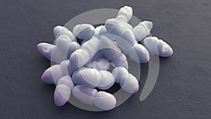 Staphylococcus epidermidis