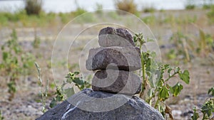 stapled brick stones, dry grass as background