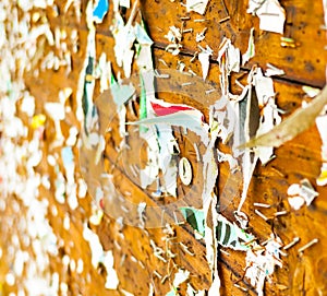 Staples and paper fragments on a message board