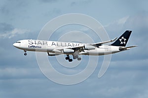 Star Alliance Airbus A340 airplane approaching Frankfurt International Airport