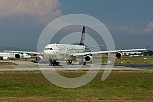 Star Alliance Airbus A340 Plane