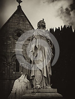 Star Angel of Glasnevin