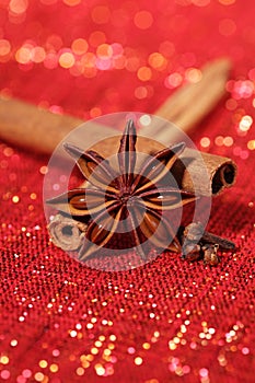 Star Anis , Cinnamon sticks and Gloves
