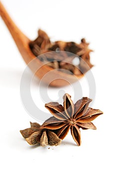 Star anise