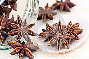 Star Anise