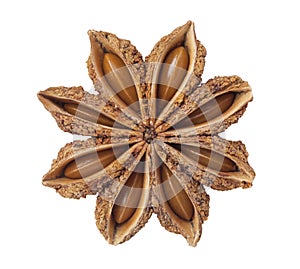 star anise