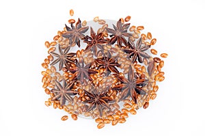 Star Anise