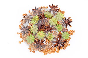 Star Anise