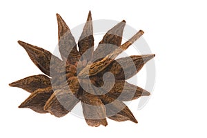 Star Anise