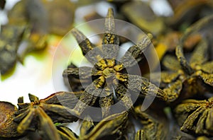 Star anise