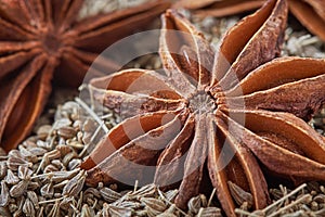 Star anise and anise seed