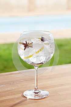 Star anise and cardamom gin and tonic cocktail by a pool outdoor