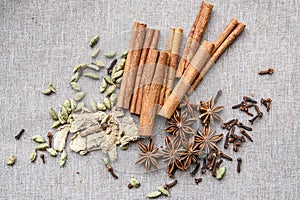 Star anise Cardamom nutmeg cinnamon ginger clove spice canvas