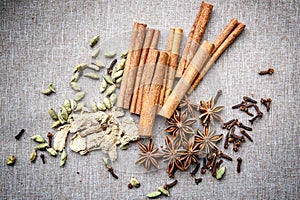 Star anise Cardamom nutmeg cinnamon ginger clove spice canvas