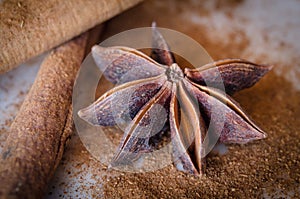 Star Anise