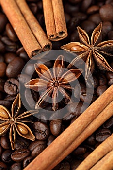 Star anise, cinnamon sticks and coffee beans.