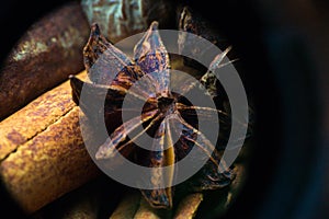 Star anise on cinnamon sticks macro photo