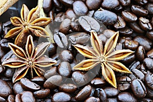 Star Anise and Coffee Beans