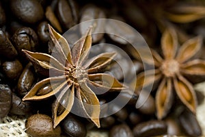 Star anise and coffee composition