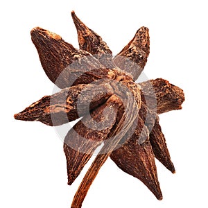 Star Anise Dried