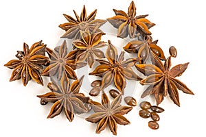 Star anise. dried seeds of the plant Pimpinella anisum L.