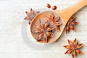 Star anise fruits in the wooden spoon, on the board, top view