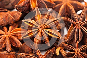 Star anise or Illicium verum