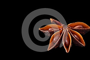 Star anise pod with seeds cooking flavouring spice.