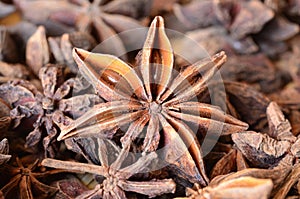 Star Anise